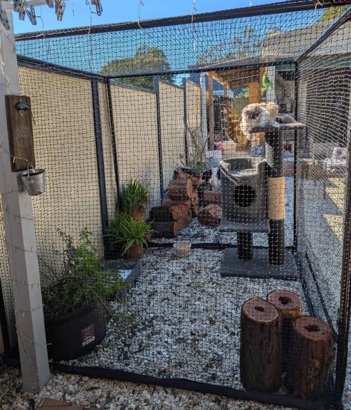 Enclosed outdoor cat run with climbing posts, plants and resting spaces